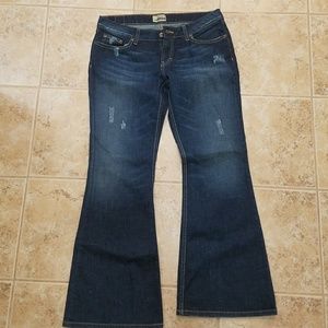 BKE Star Stretch Jeans